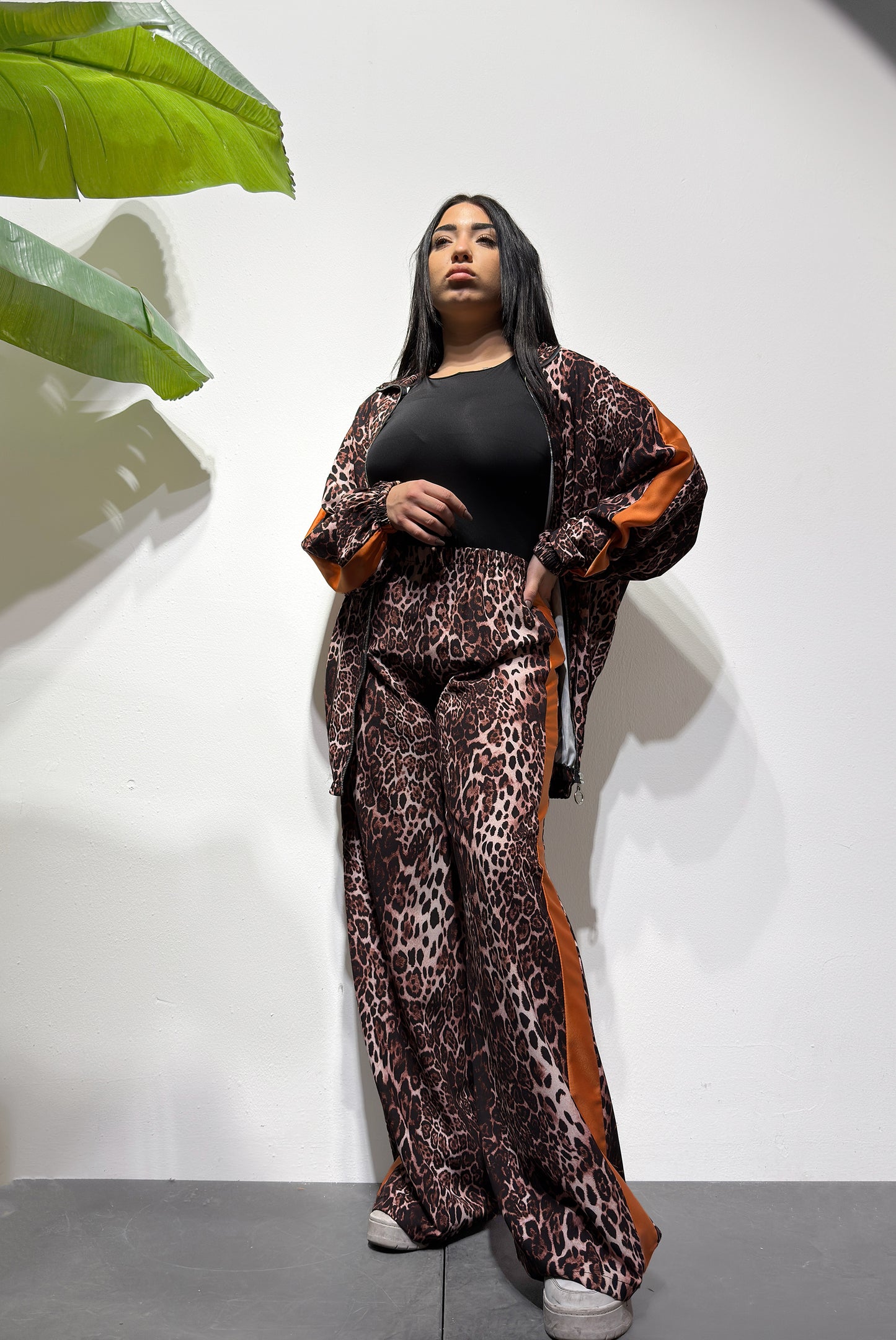 BOX PROMO "ANIMALIER"