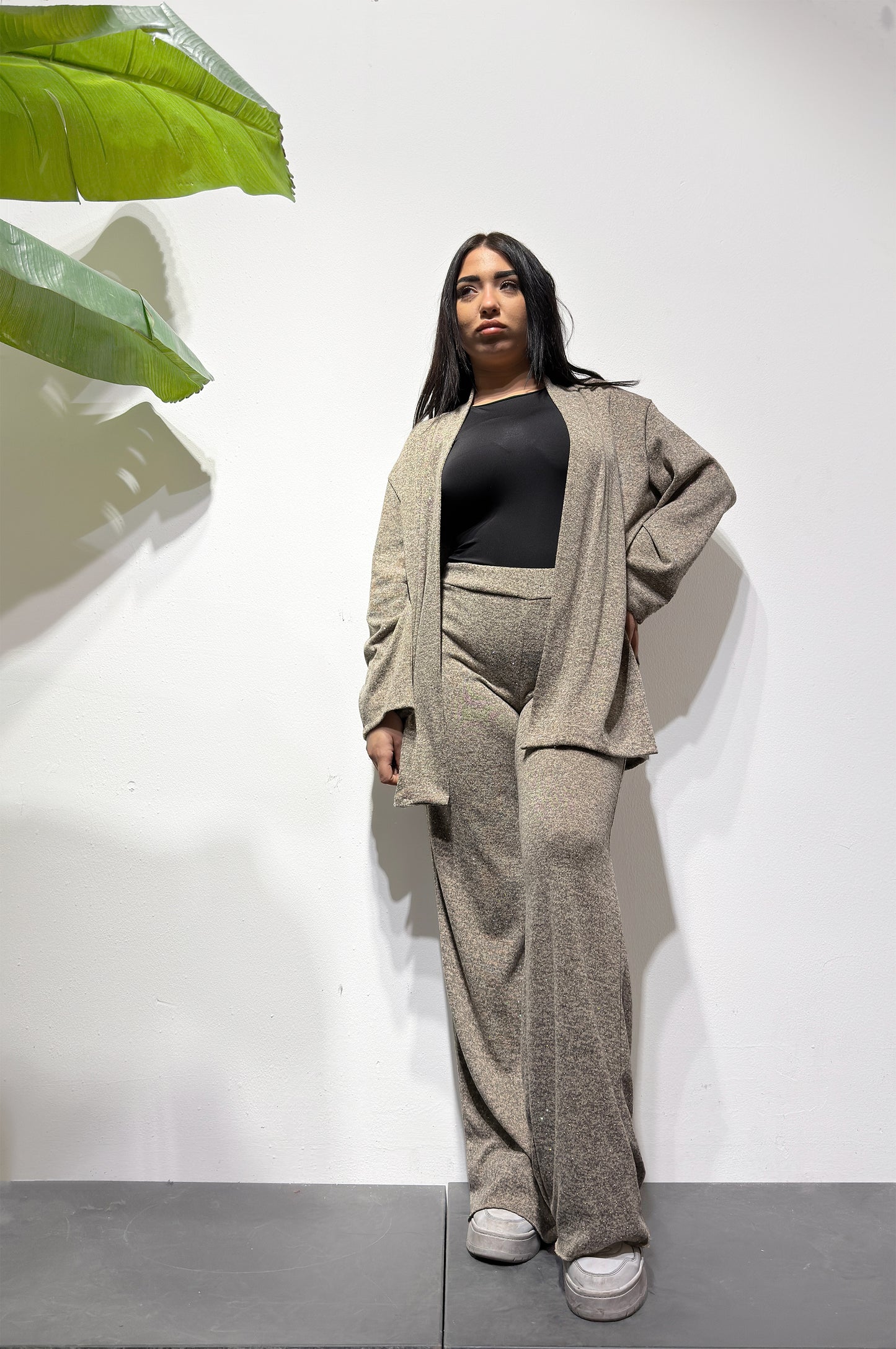 BOX PROMO "SI TIENE E SORDE SPIENNEL..."