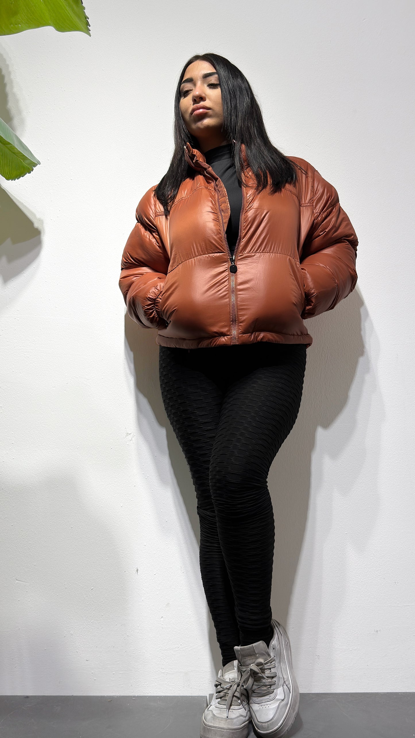 BOX PROMO "ANIMALIER"